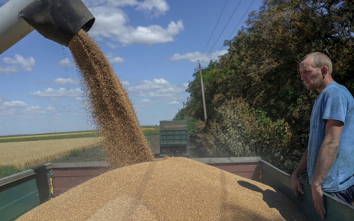 Thỏa thuận ngũ cốc Nga - Ukraine đổ vỡ ảnh hưởng an ninh lương thực toàn cầu